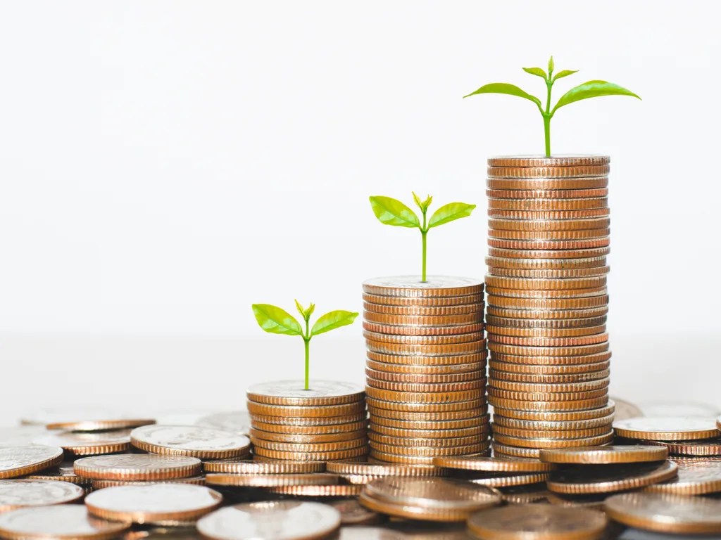 Investment Tips for Beginners